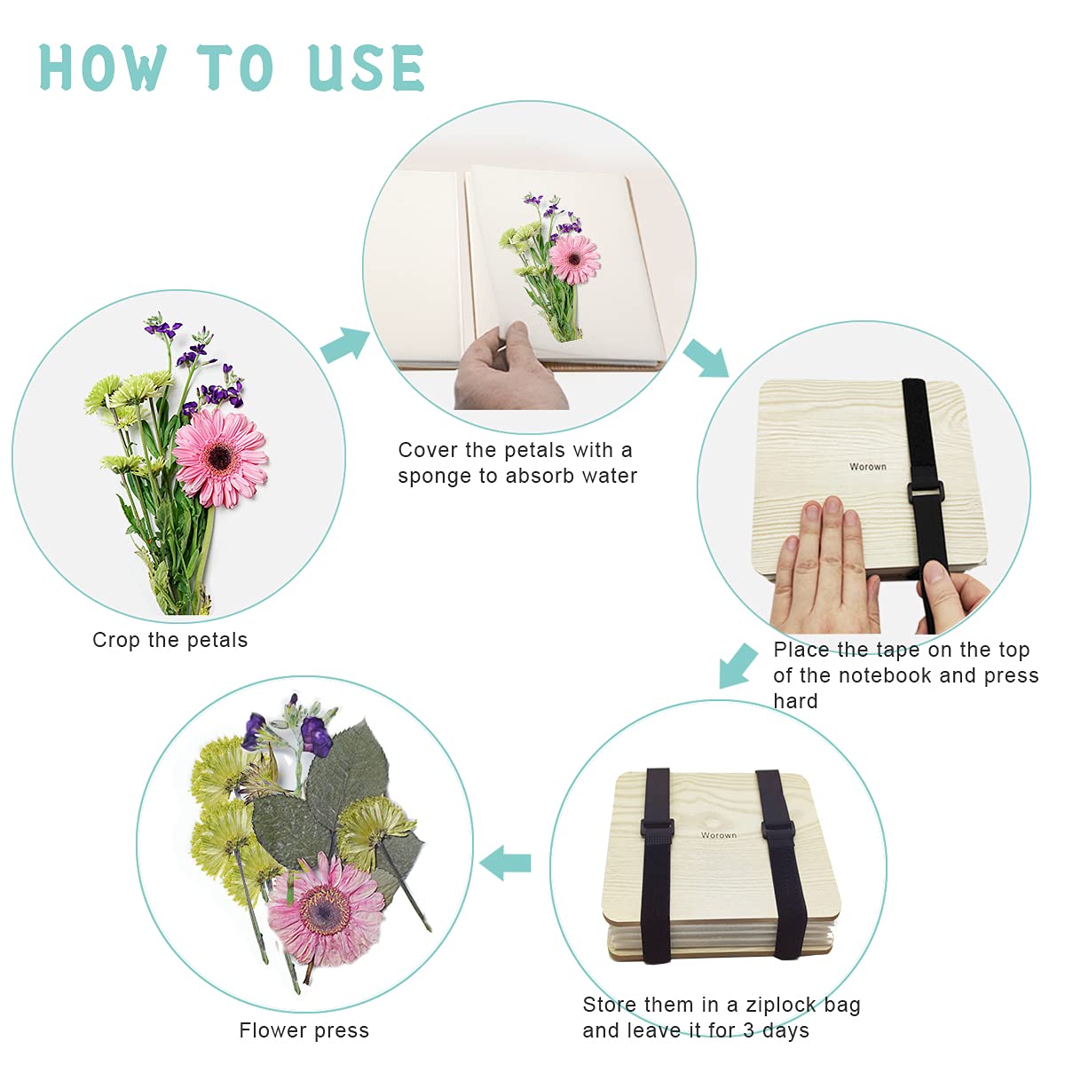 Kit prensa de flores – Conserva pétalos con arte