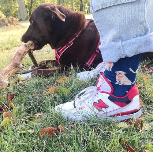 Calcetines labrador – Pasos fieles y divertidos
