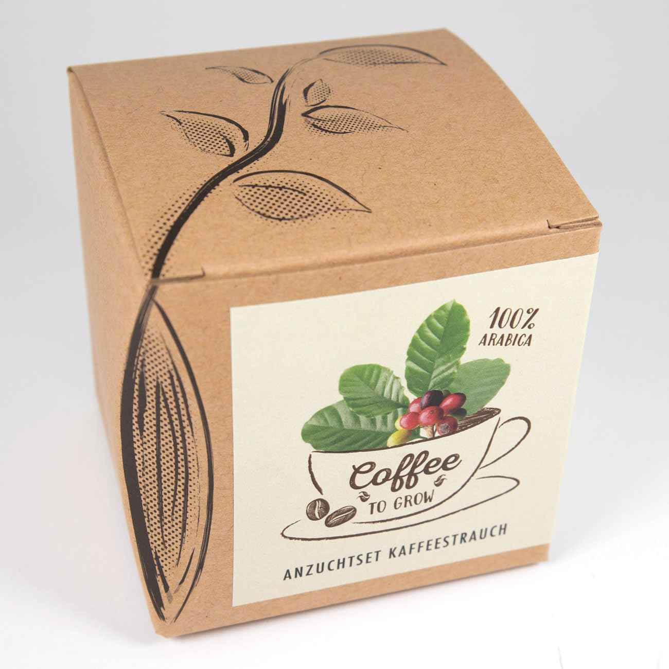 Coffee to Grow – Planta un cafeto con este kit regalo