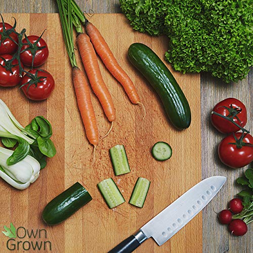 Kit verduras – Cultiva tu cosecha desde cero