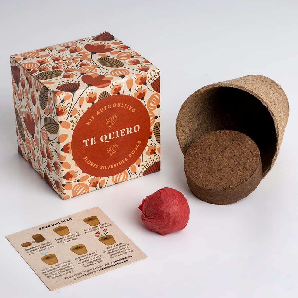 Kit “Díselo con flores – Te quiero” – Amapola, lino y un mensaje con raíces