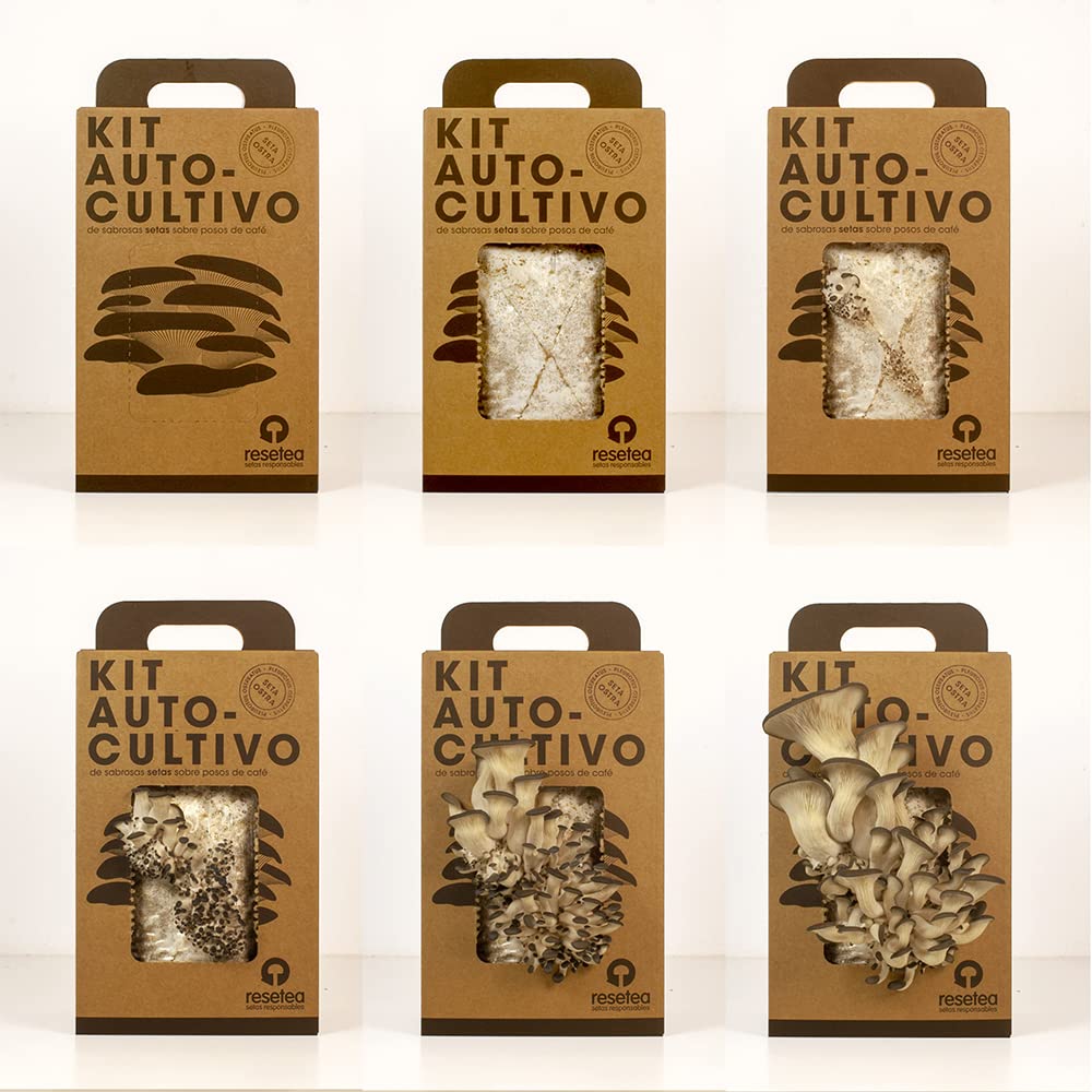Kit autocultivo setas – Cultiva ostras sobre posos de café