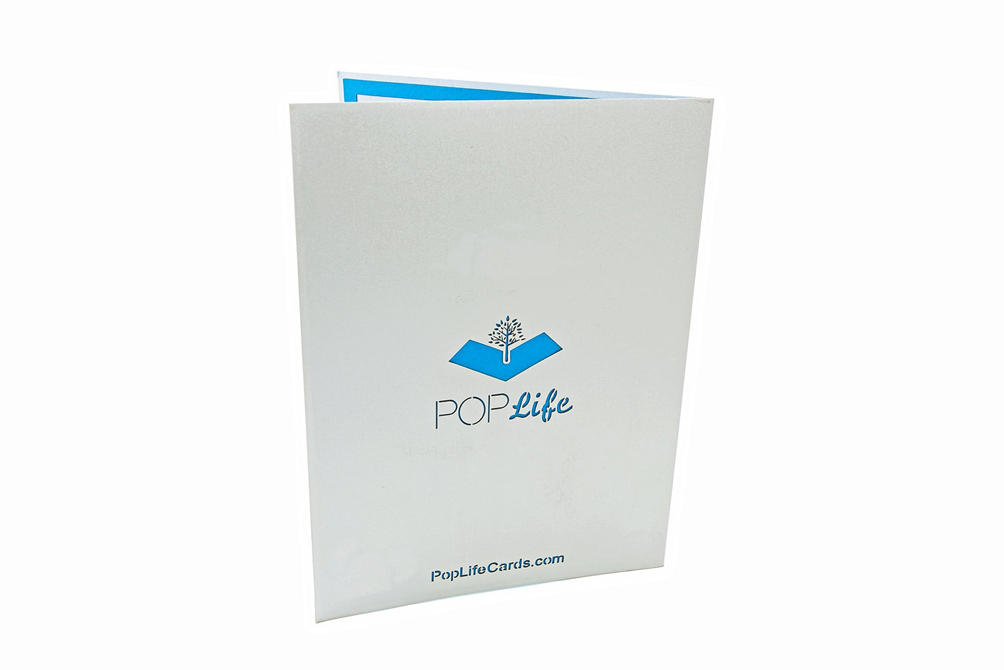 Tarjeta pop-up avión – Sorpresa con alas