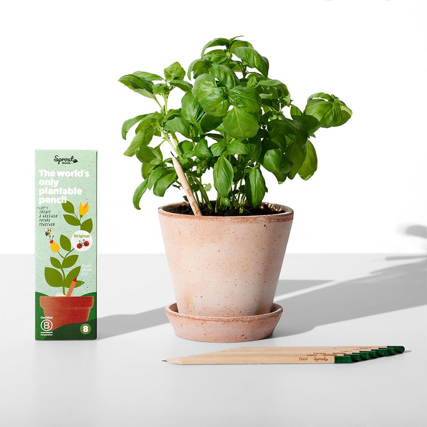 Lápices que crecen – Sprout con semilla en la punta