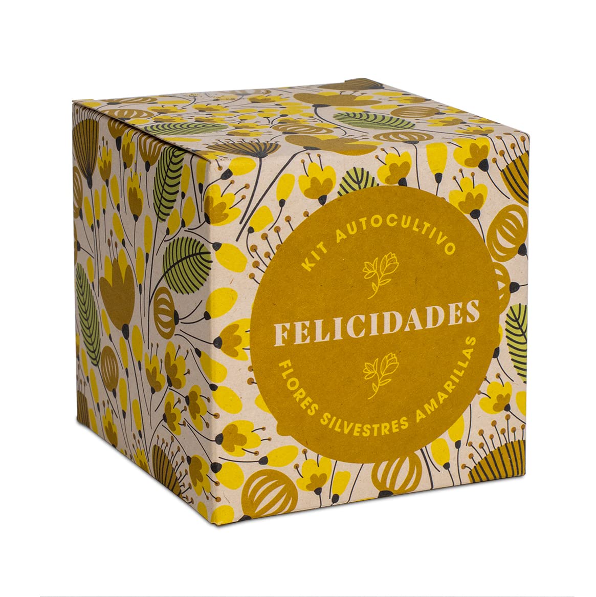 Kit “Díselo con flores – Felicidades” – Un ramo que brota desde cero