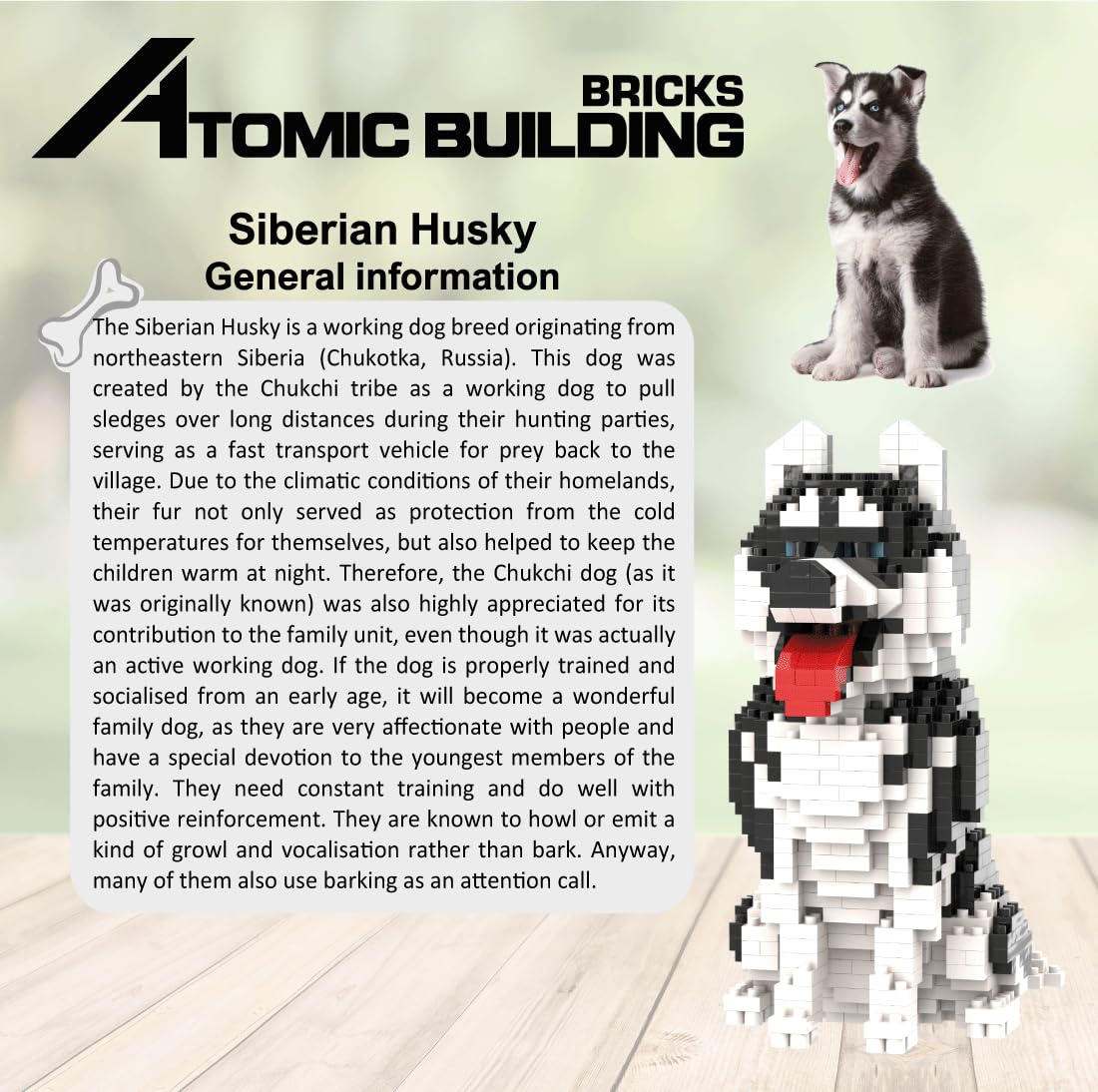 Mini Husky en piezas – Figura de bloques para montar y decorar