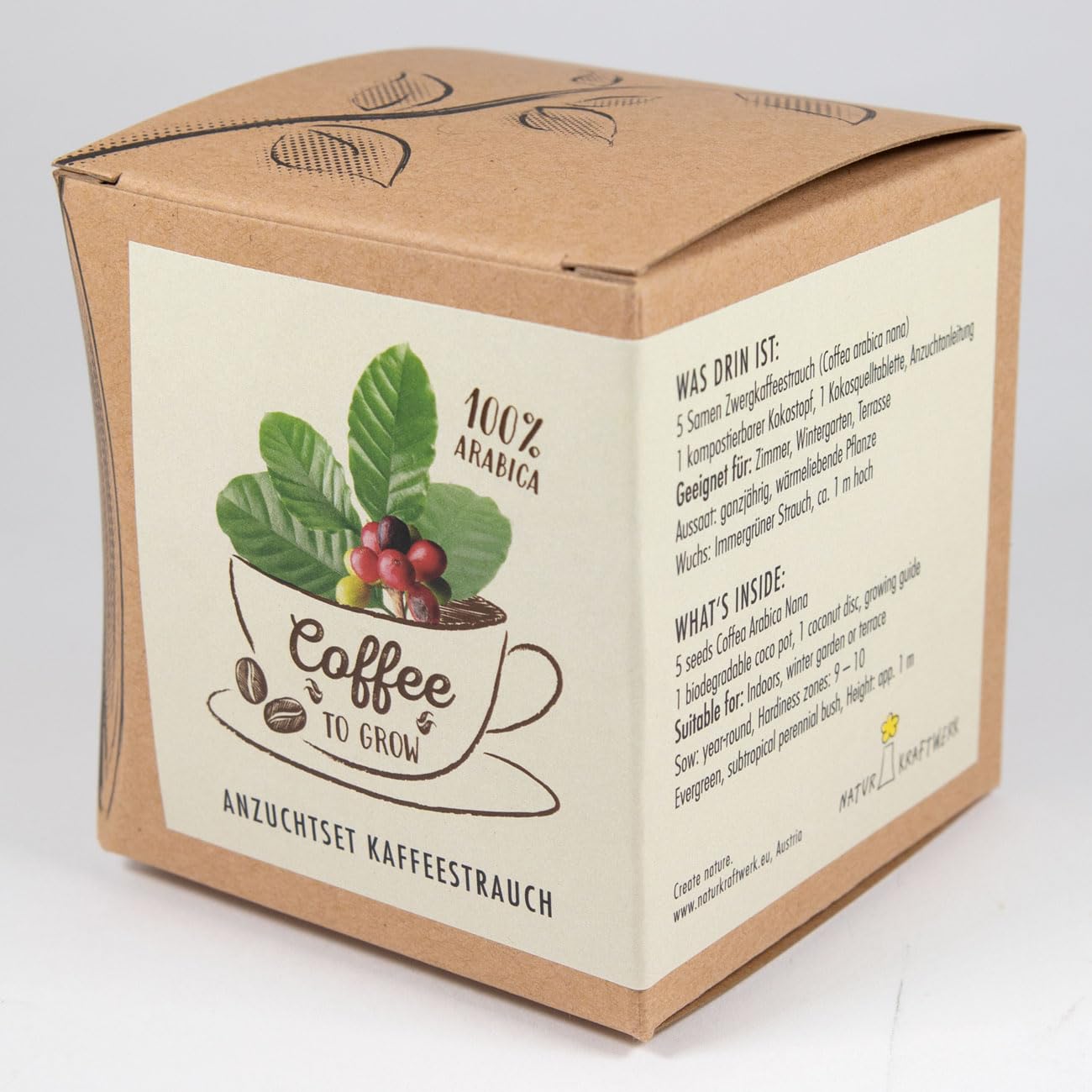 Coffee to Grow – Planta un cafeto con este kit regalo