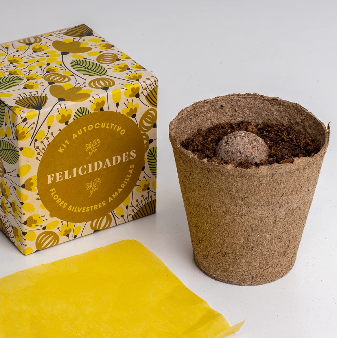 Kit “Díselo con flores – Felicidades” – Un ramo que brota desde cero