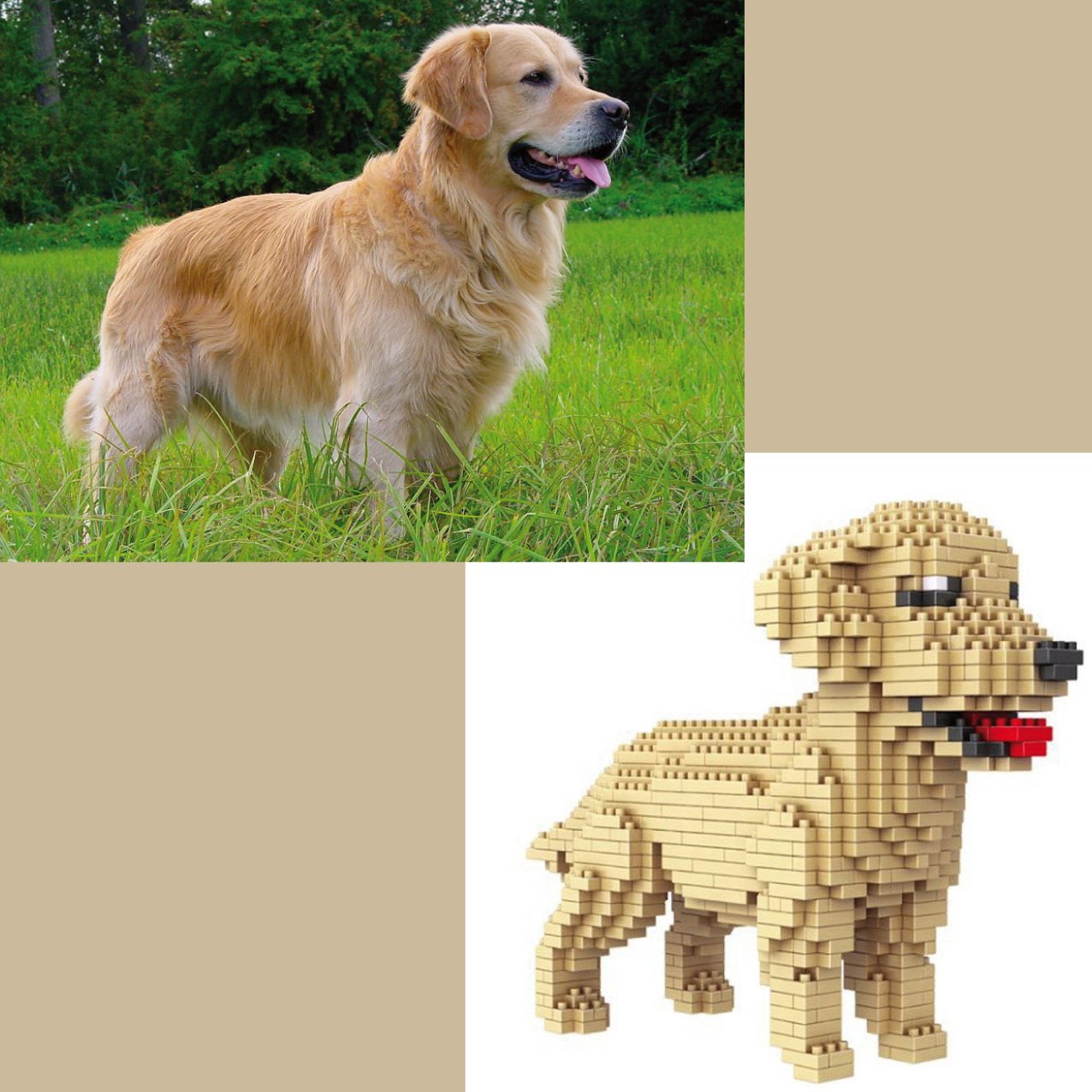 Golden ladrillos – Construye tu propio retriever