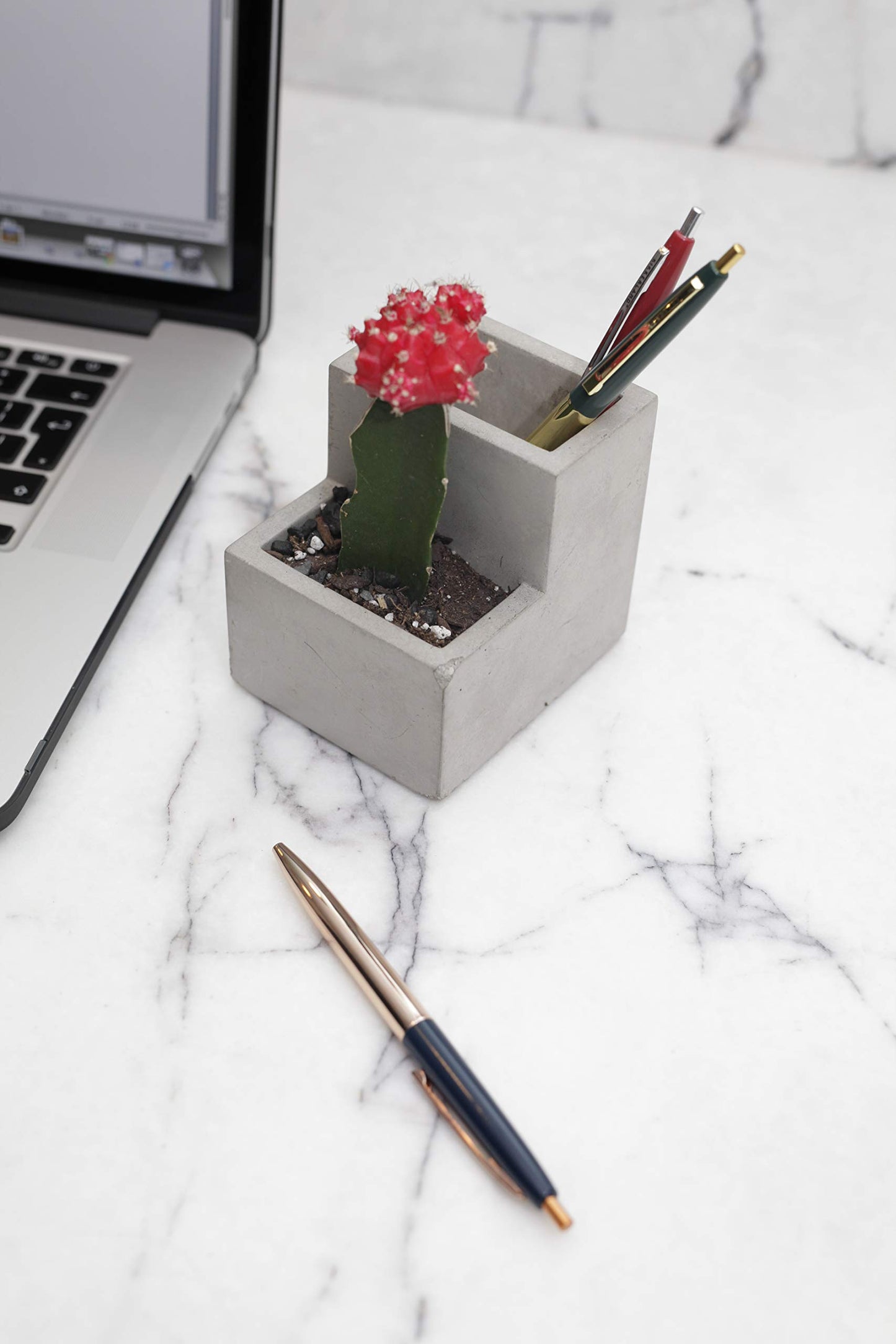 Maceta de oficina – Donde florecen tus ideas