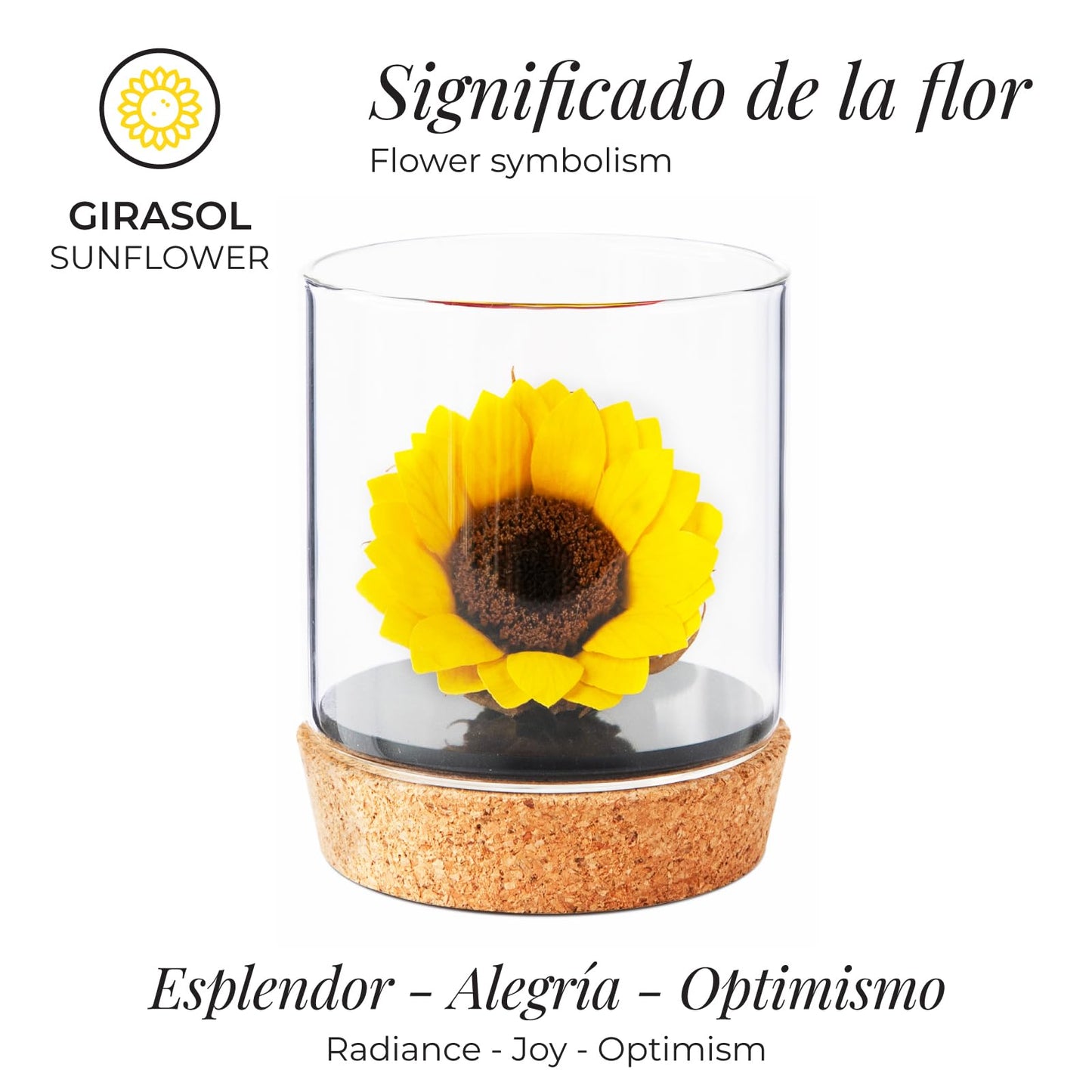 Girasol eterno – Flor natural estabilizada que no se marchita