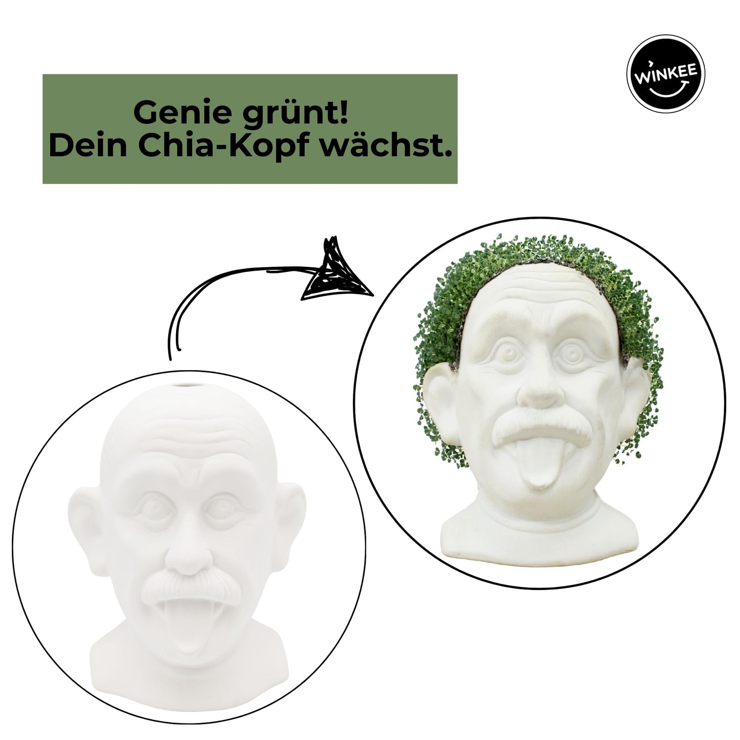 Maceta Einstein Chia – Ideas que brotan del genio