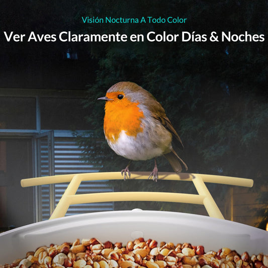 Comedero para pájaros con cámara – Observa a los pájaros desde tu móvil
