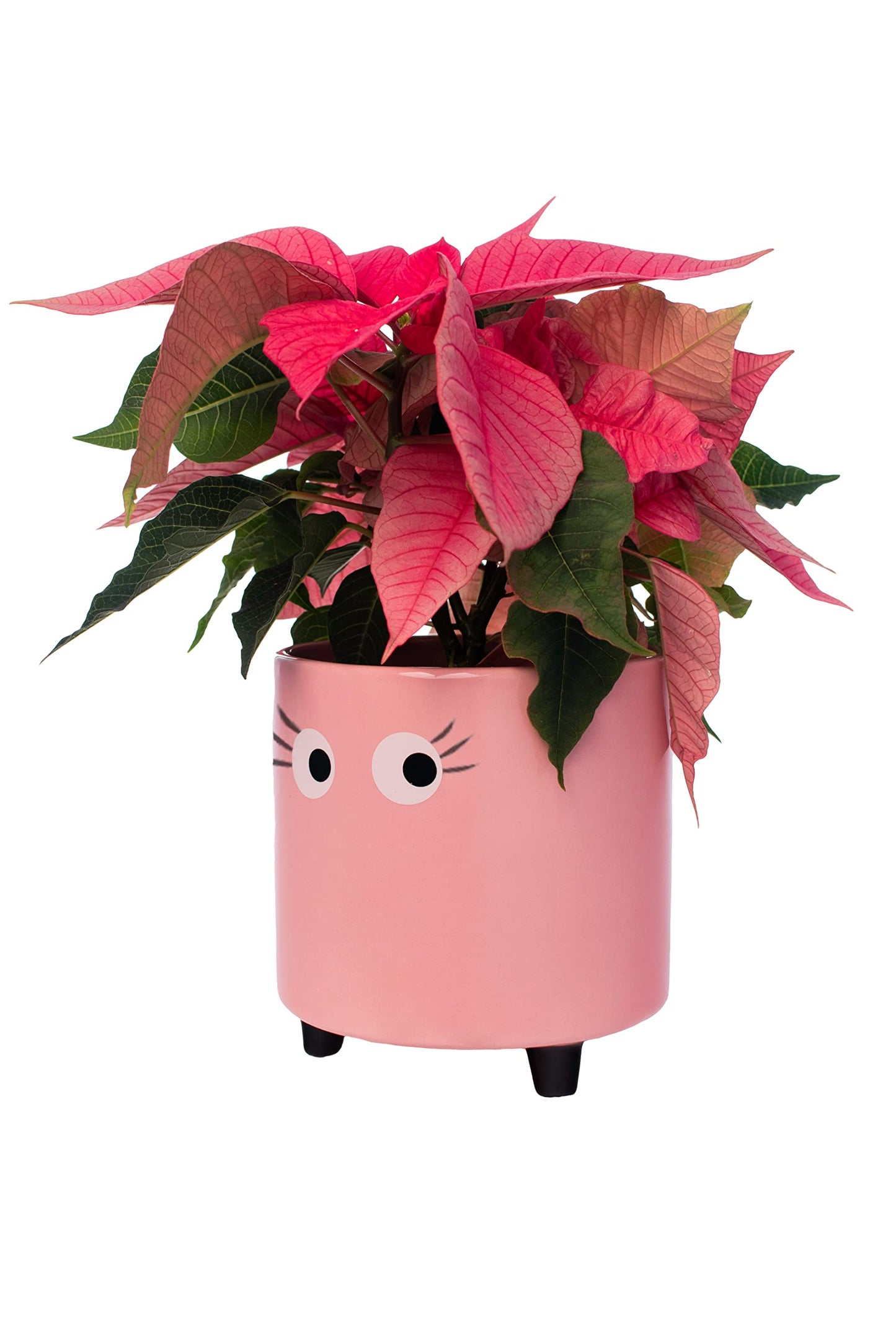 Maceta rosa con carita curiosa – Decora con simpatía y color