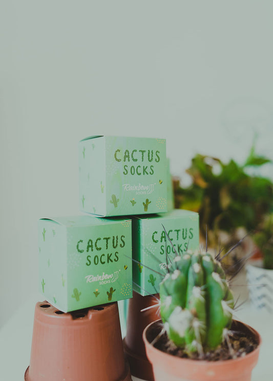 Calcetines “Cactus en la jarra” – Planta estilo en tus pies (sin pincharte)