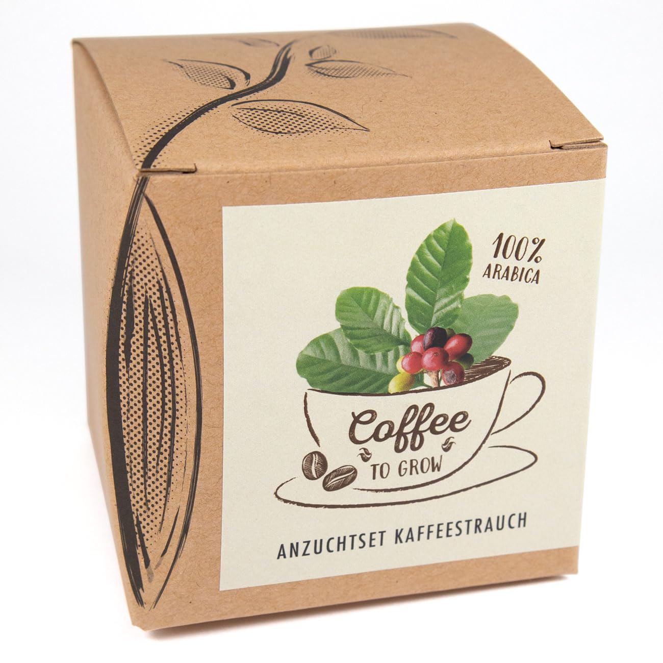 Coffee to Grow – Planta un cafeto con este kit regalo