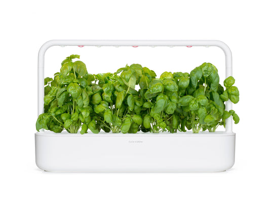 Pack 3 Cápsulas Albahaca Click & Grow – Pesto Fresco Todo el Año