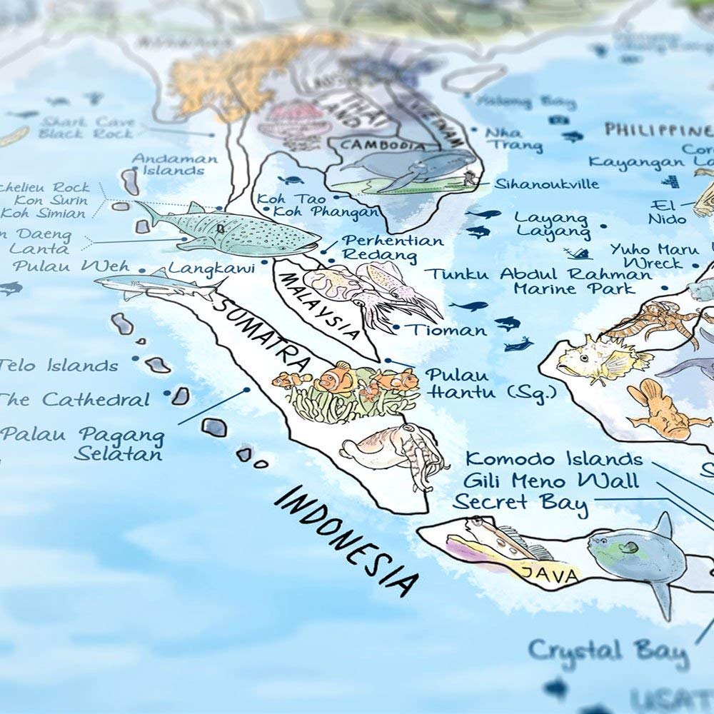 Mapa para buceadores – Explora el mundo bajo el agua