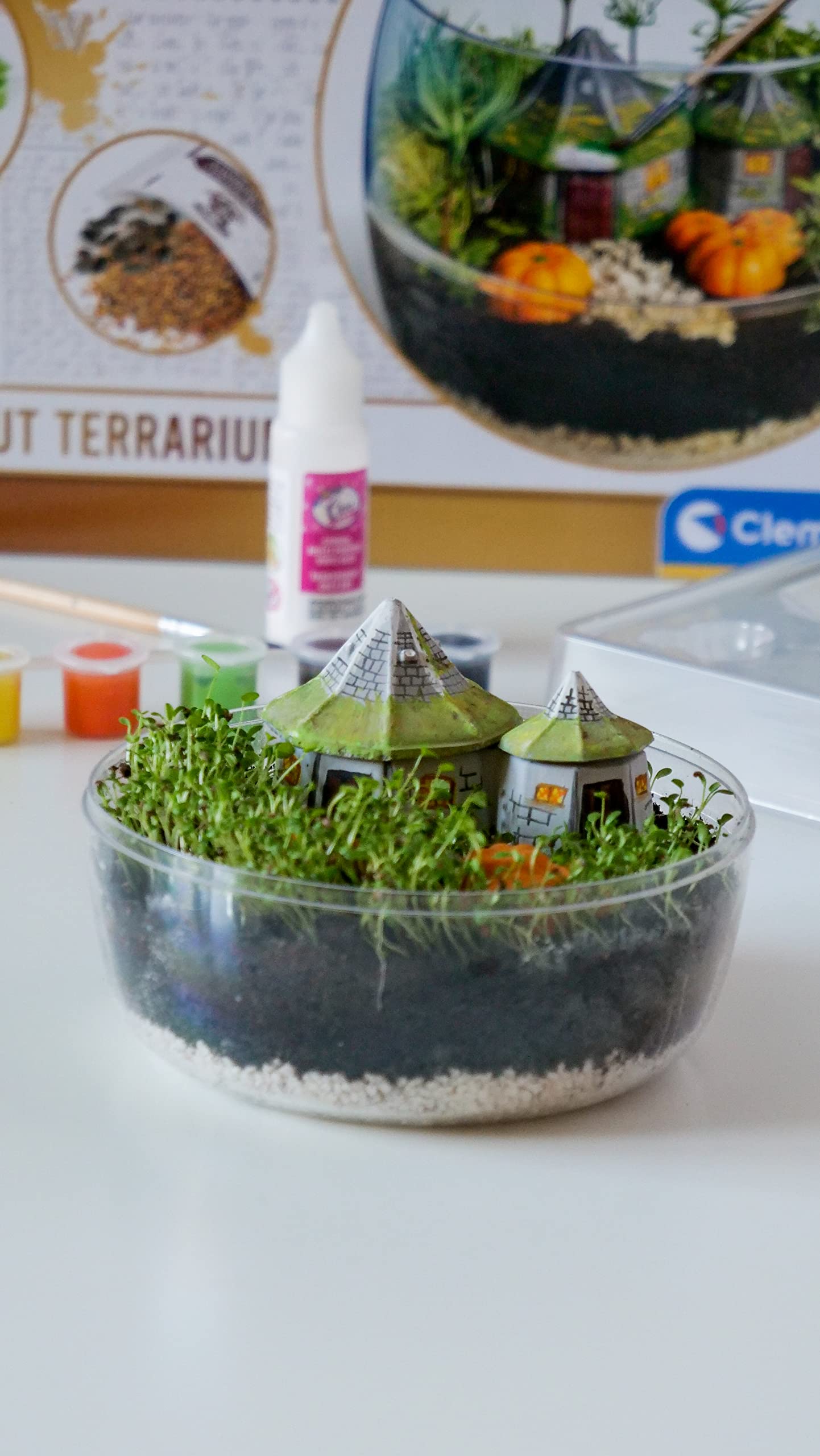 Terrario Harry Potter – Cultiva magia en tu propio invernadero