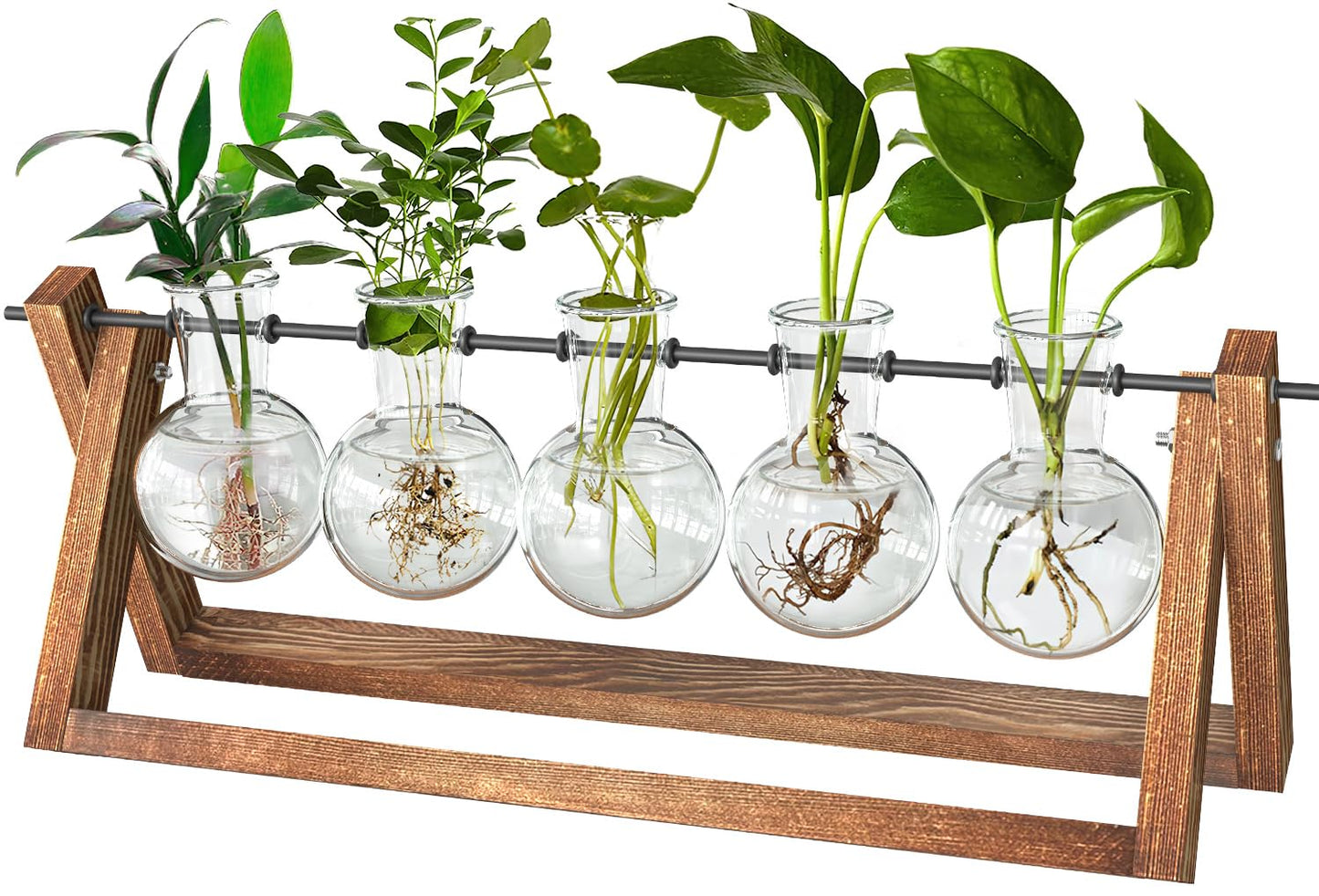 Estación de propagación – Cultiva esquejes con diseño