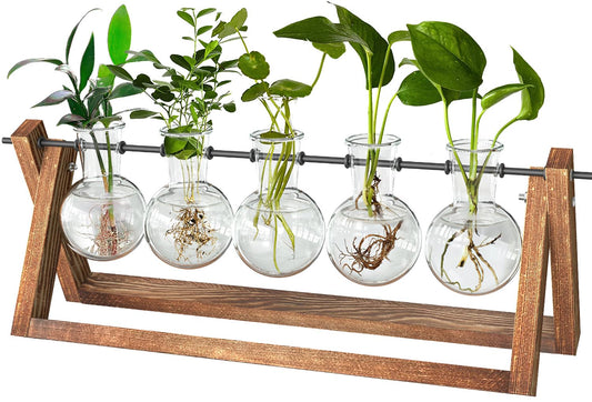 Estación de propagación – Cultiva esquejes con diseño