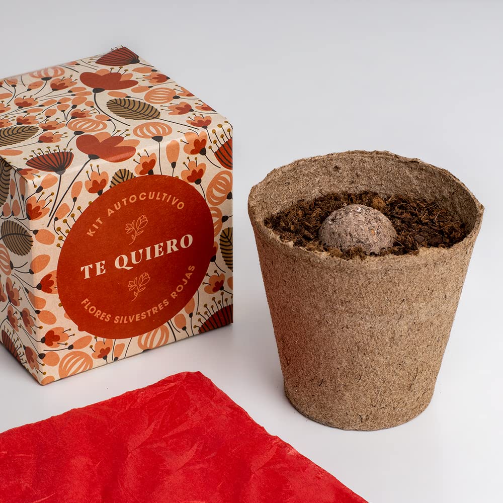Kit “Díselo con flores – Te quiero” – Amapola, lino y un mensaje con raíces