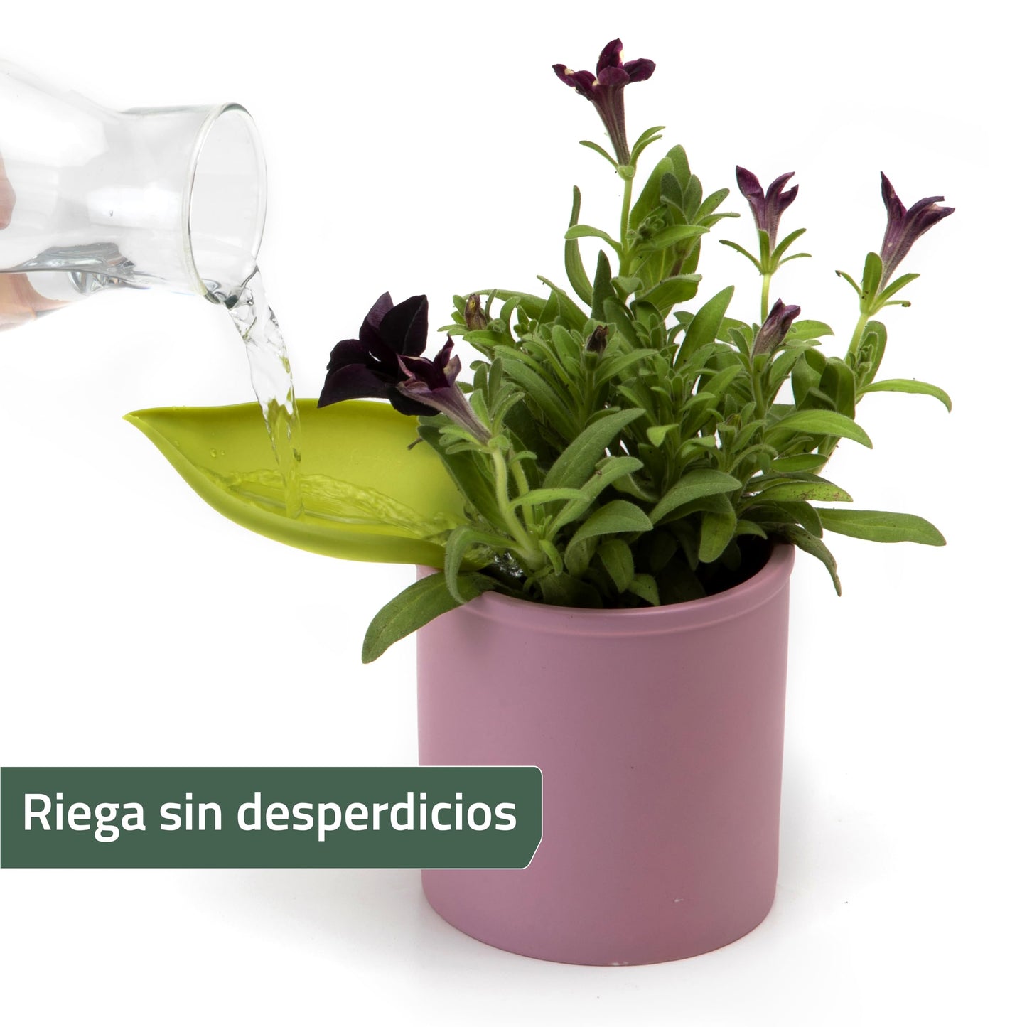 Embudo Leaflow – La hoja mágica que riega con estilo