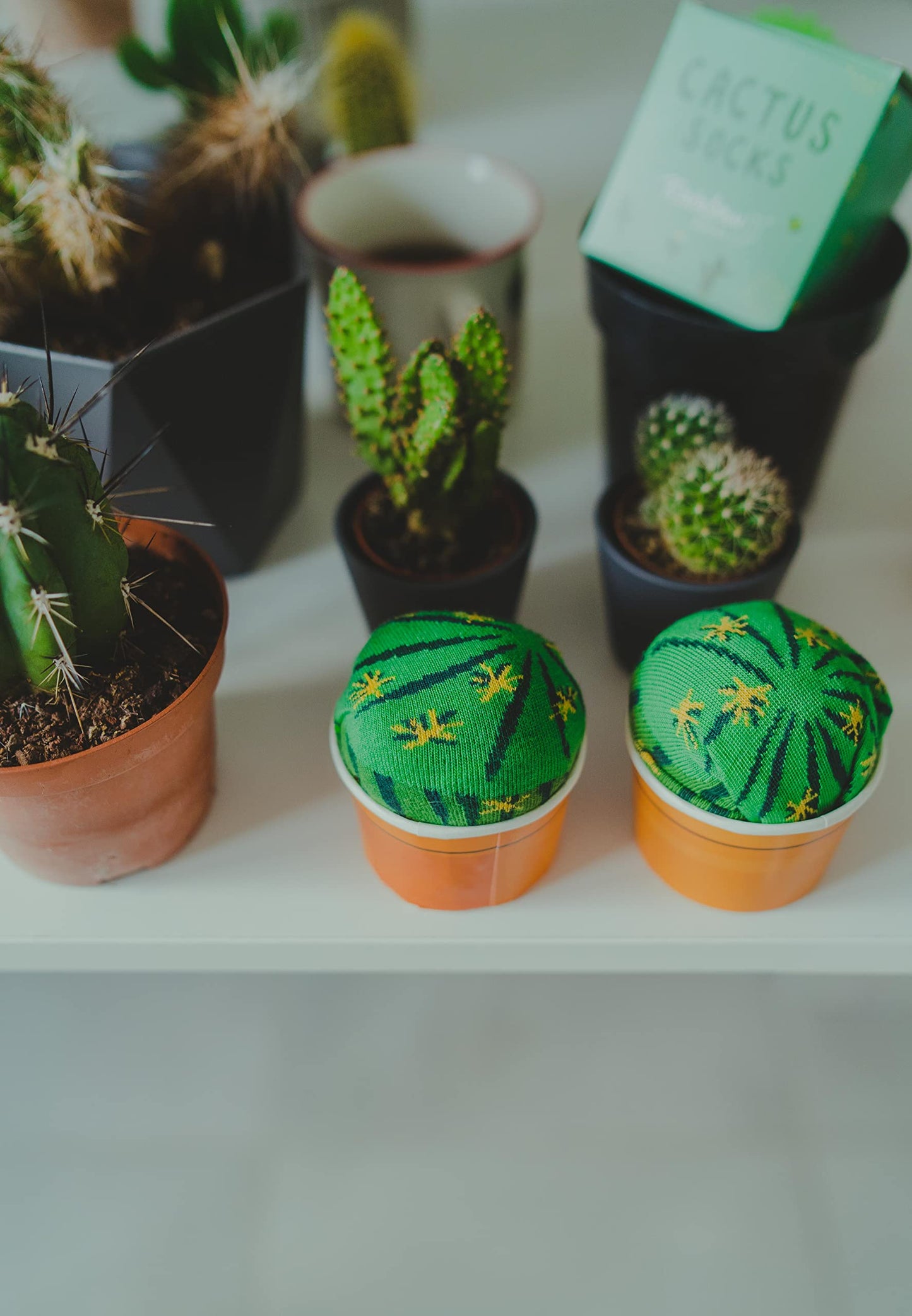 Calcetines “Cactus en la jarra” – Planta estilo en tus pies (sin pincharte)