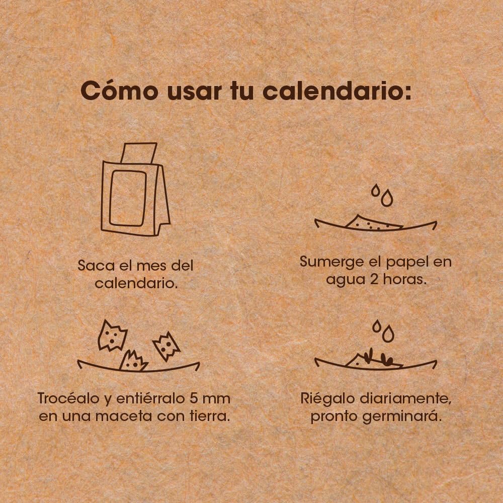 Calendario plantable 2025 – Agenda + jardín en papel