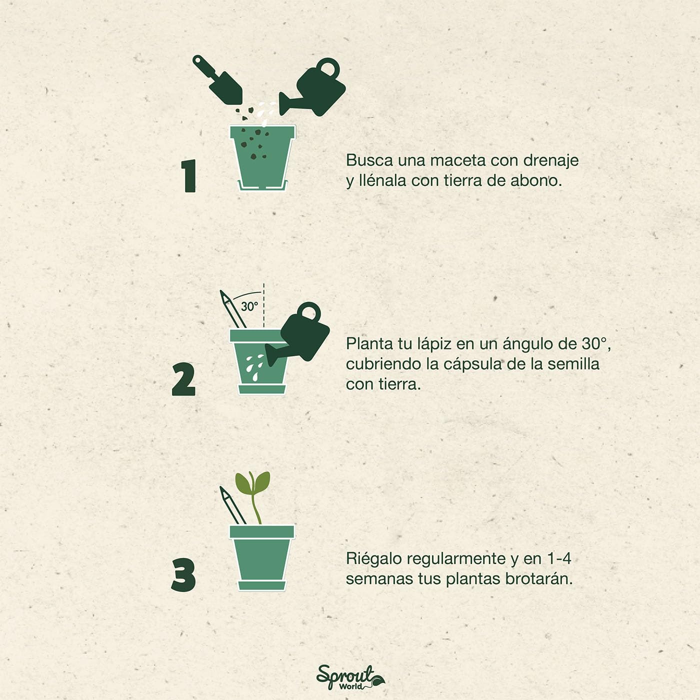 Lápices que crecen – Sprout con semilla en la punta