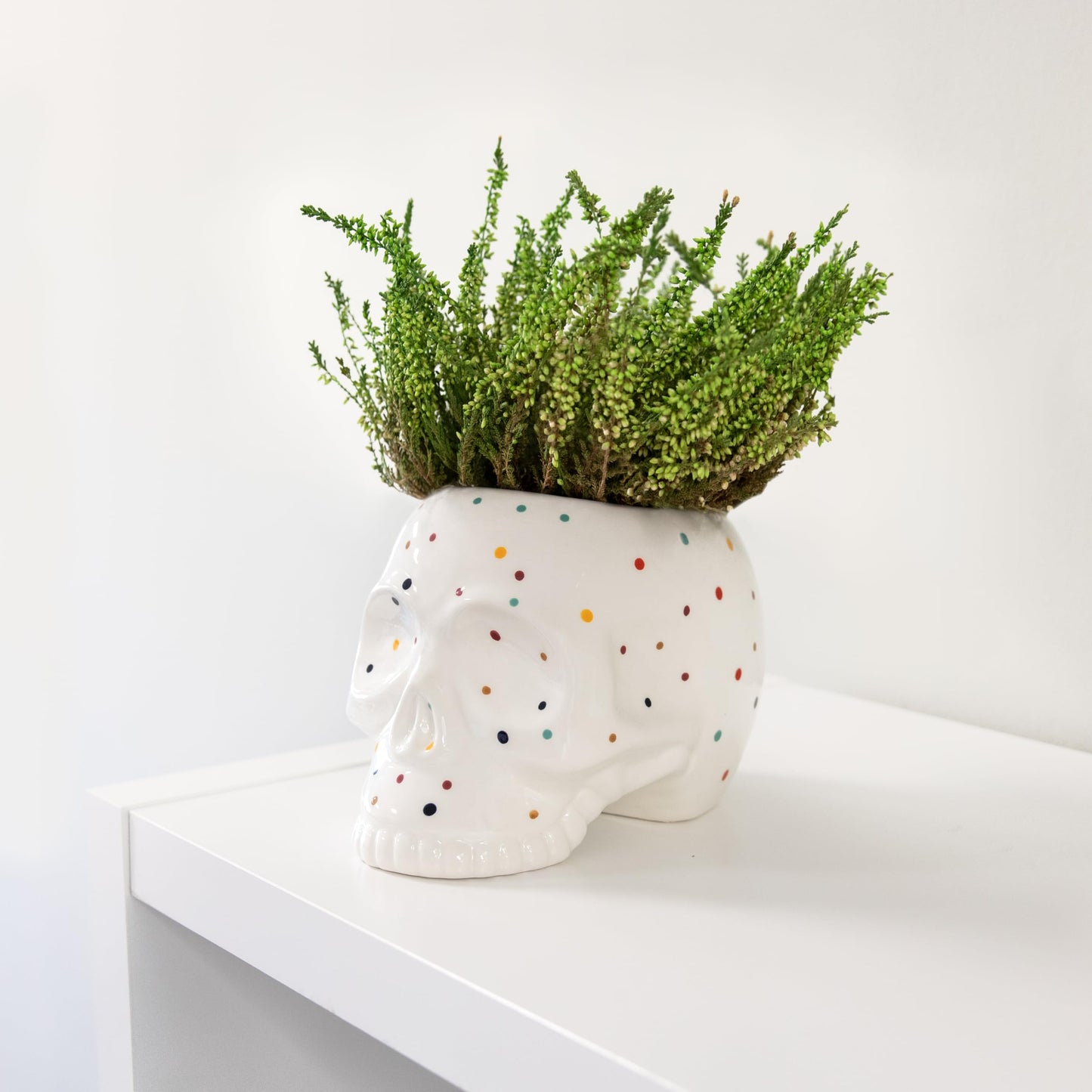 Macetero calavera con lunares de colores – Misterio y vida para tus plantas