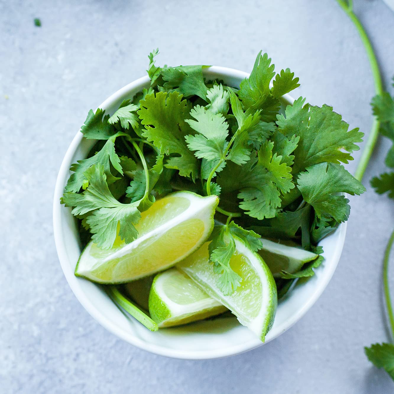 Minihuerto aromático – Cultiva albahaca, menta y más en casa