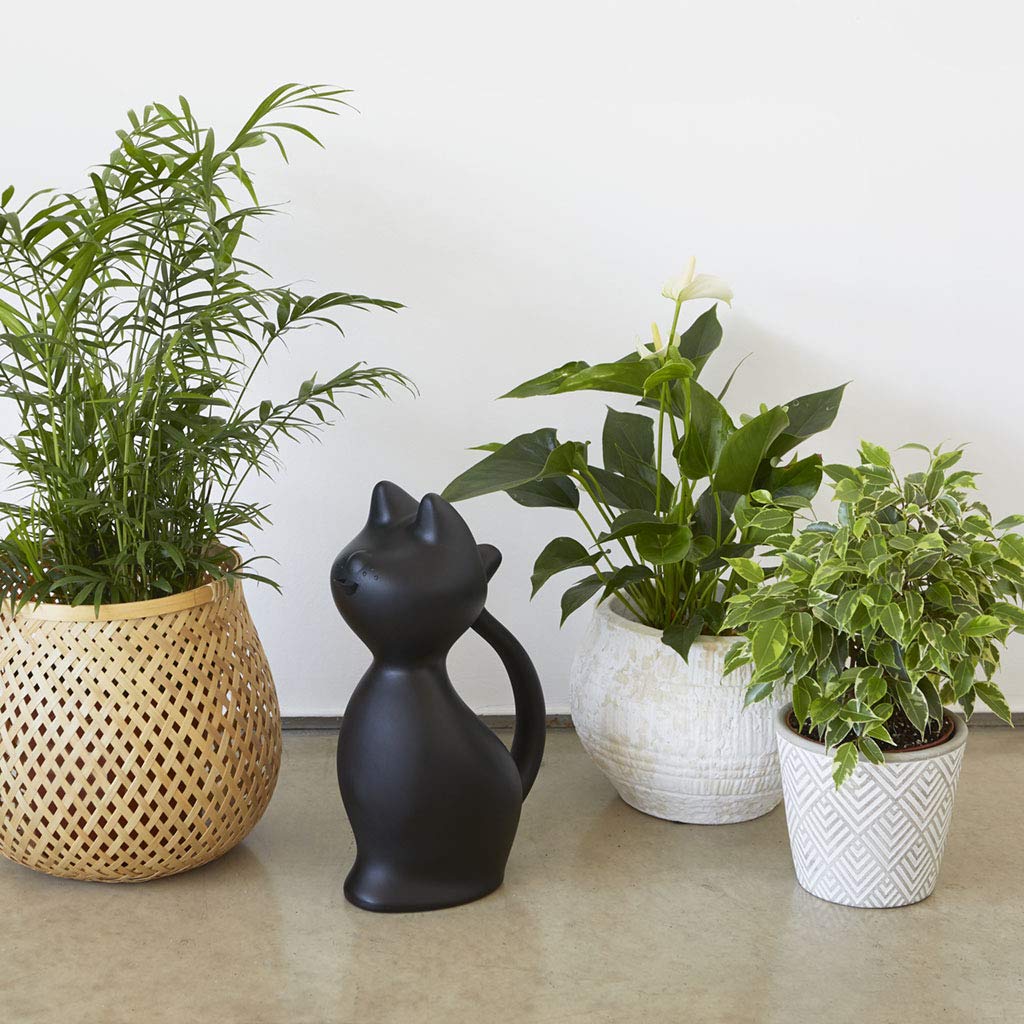 Regadera gato – Riega con estilo felino