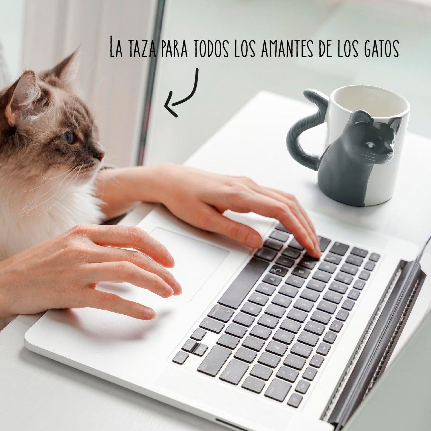 Pack 2 tazas gato – Café con compañía felina