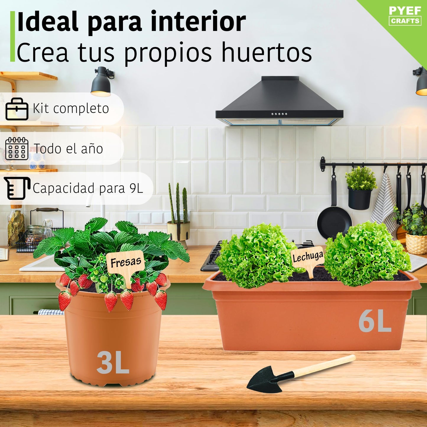 Huerto urbano terraza – Cultiva donde menos lo esperas
