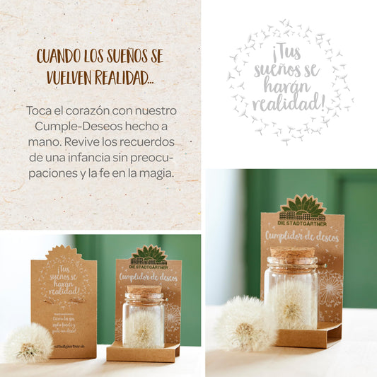 Cumpledeseos – Diente de león encerrado en una cápsula