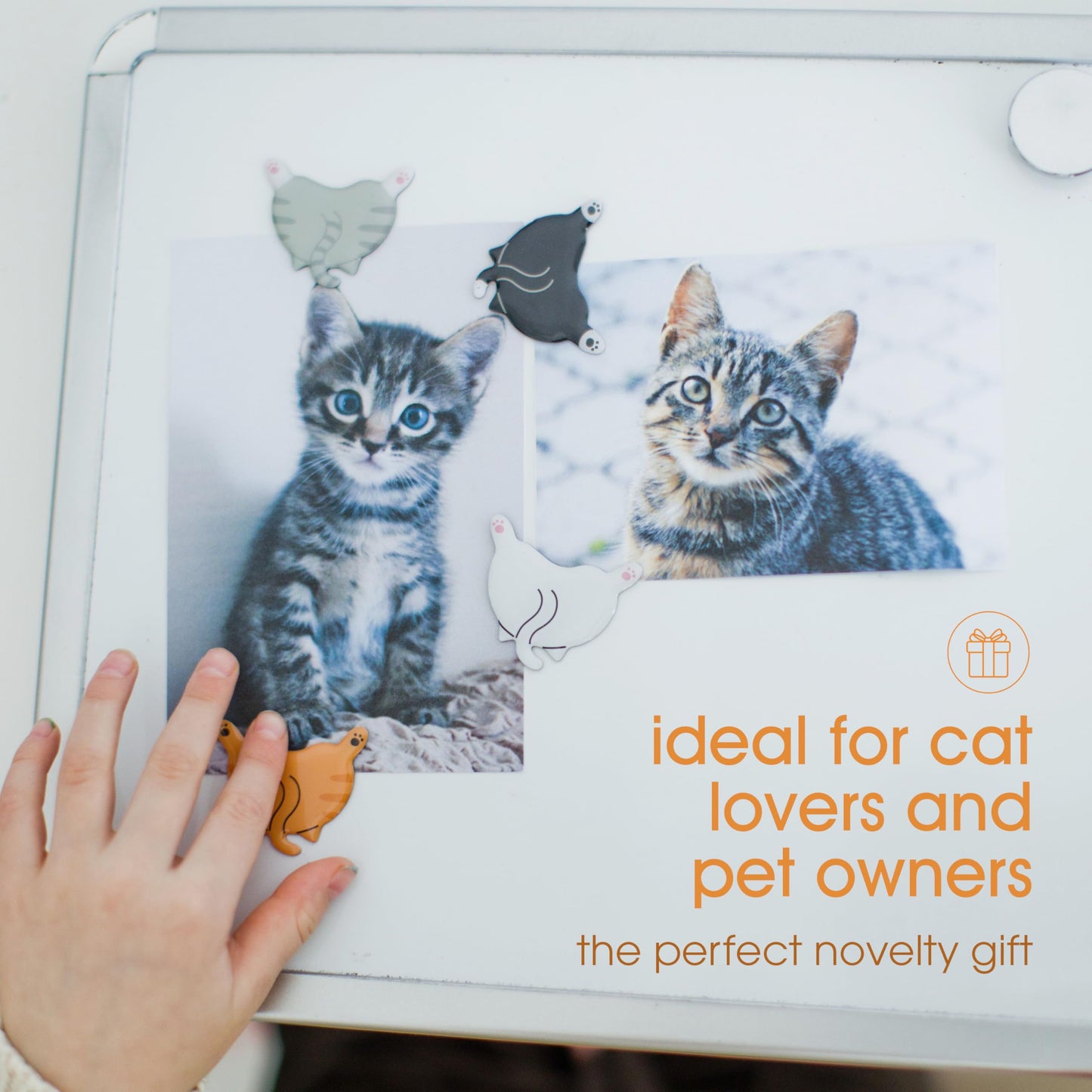 Gatitos imantados – Para la nevera más adorable