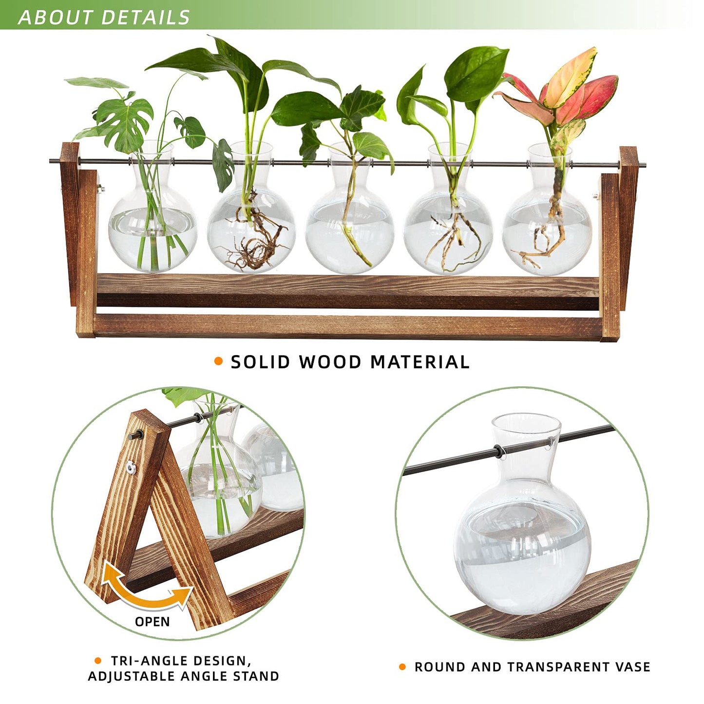Estación de propagación – Cultiva esquejes con diseño