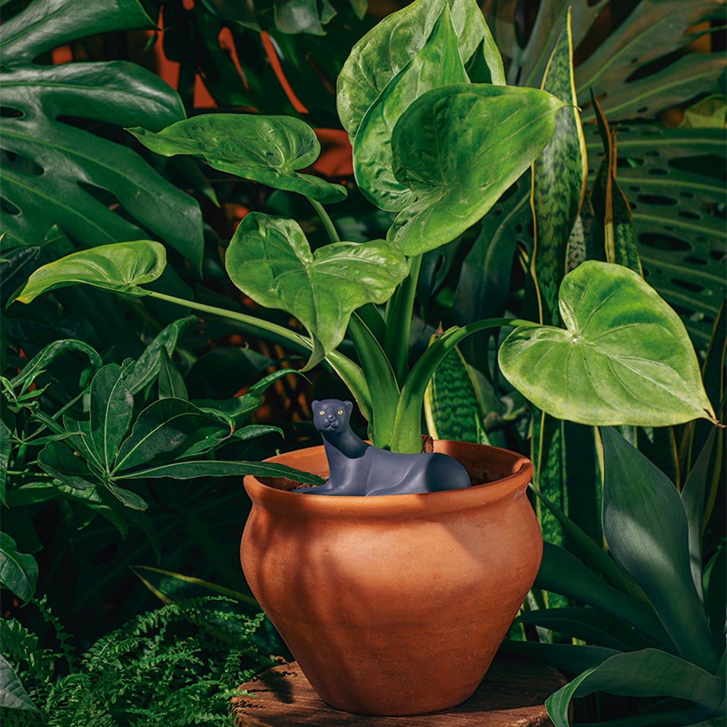 PantherDrop – Autorriego feroz, plantas felices