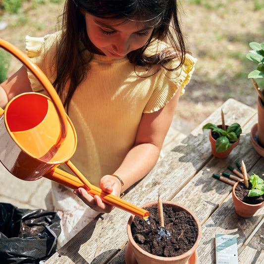 Lápices Plantables Everyday Earth – Pequeñas acciones que germinan en cambio