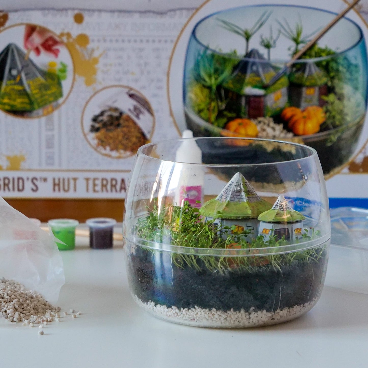 Terrario Harry Potter – Cultiva magia en tu propio invernadero