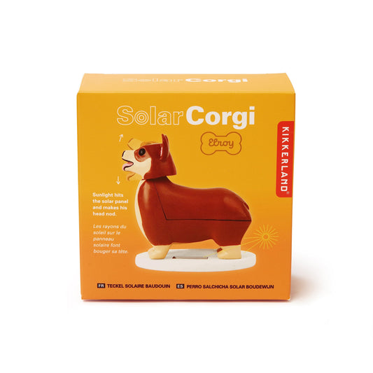 Perro corgi solar – Mueve la cabeza con energía adorable