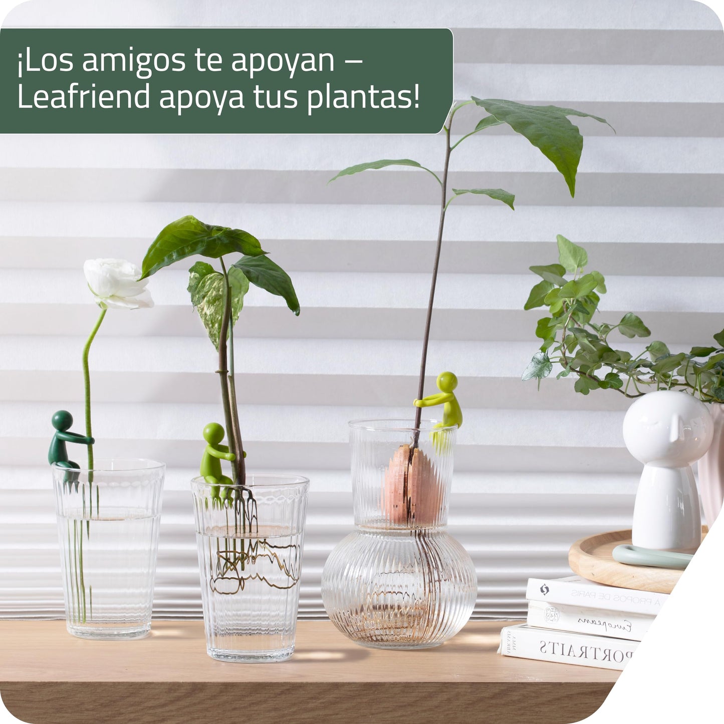 Leafriend – Soporte para brotes con forma de hoja
