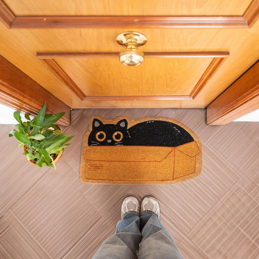 Felpudo caja gato – Curiosidad felina