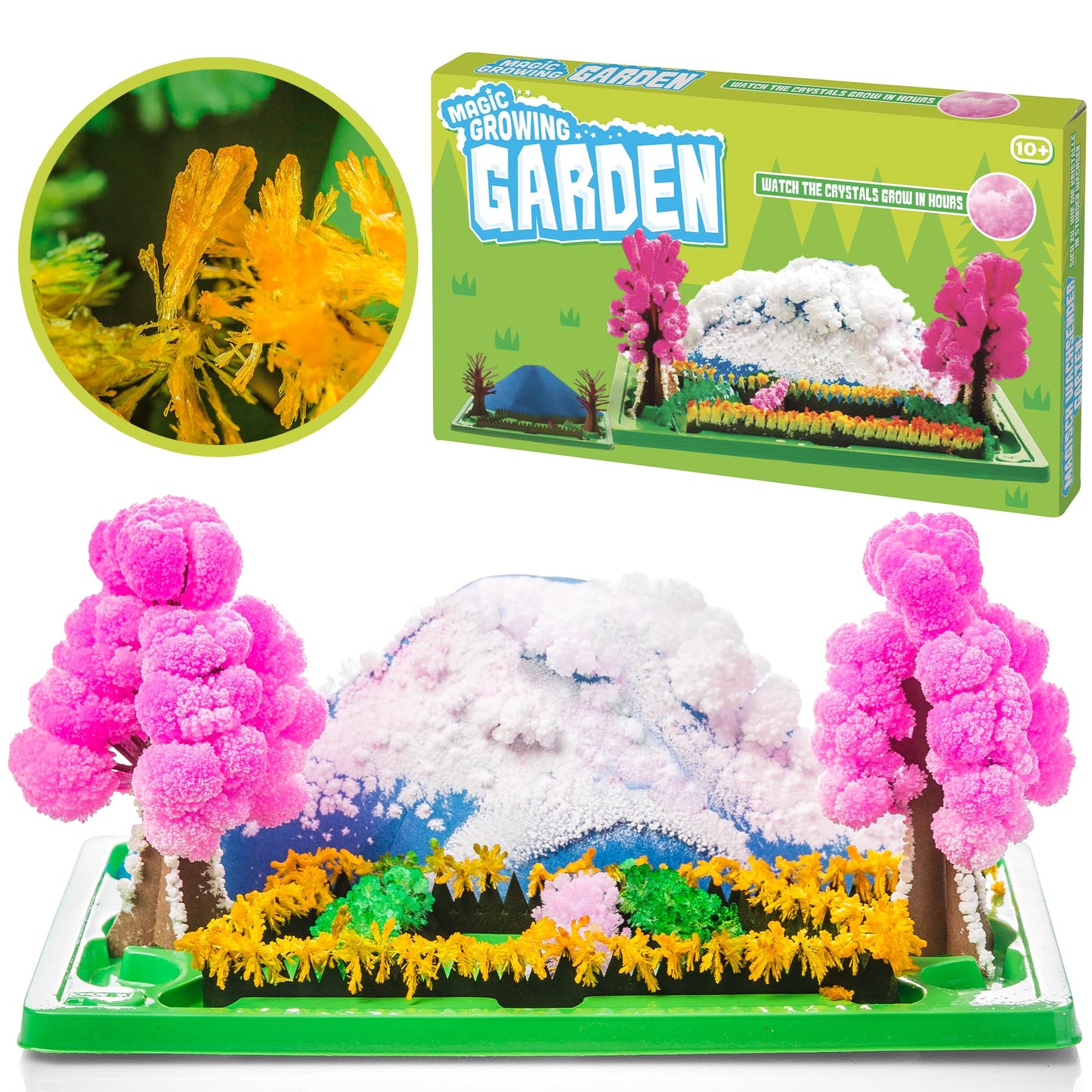 Kit de cultivo Magic Garden – Un jardín que crece como por arte de magia