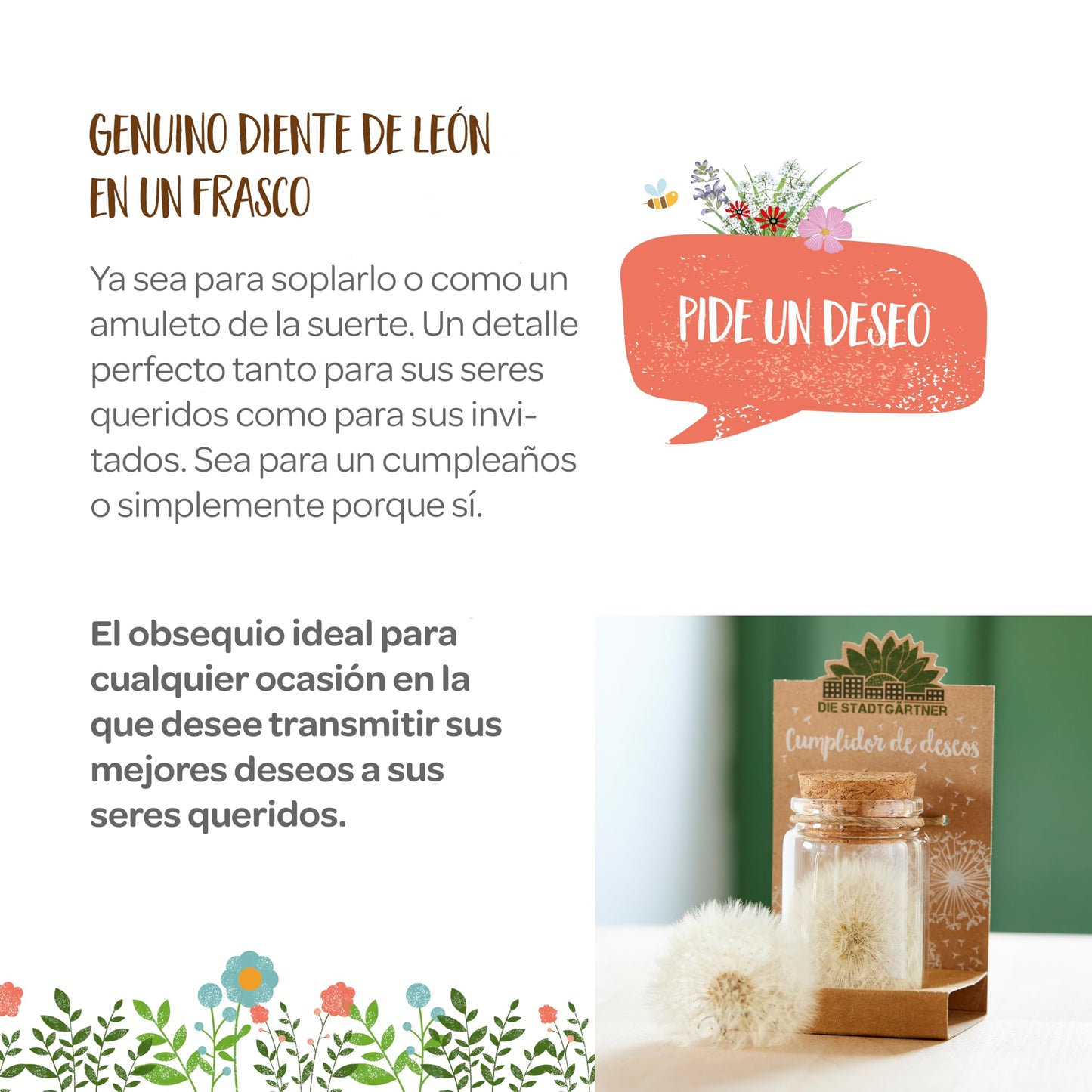 Cumpledeseos – Diente de león encerrado en una cápsula