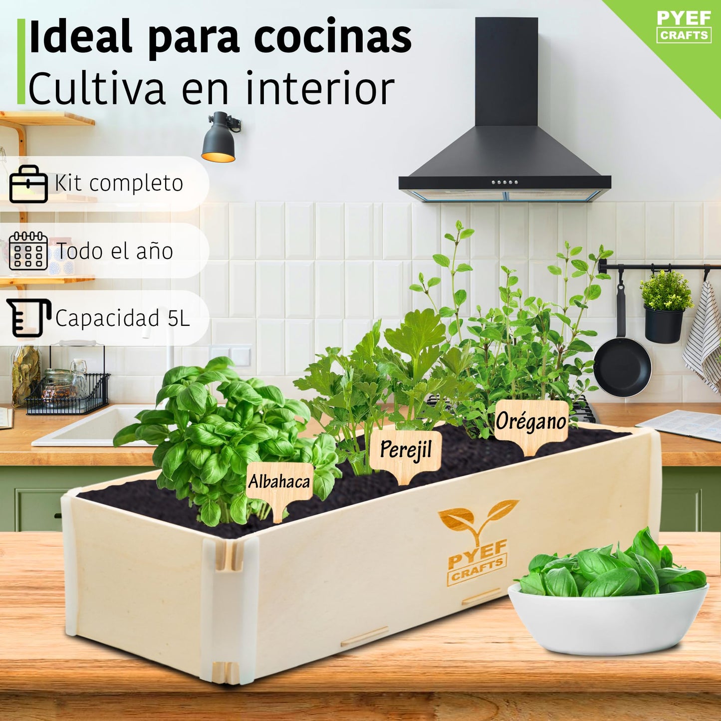 Kit huerto hierbas – Cultiva tus sabores favoritos