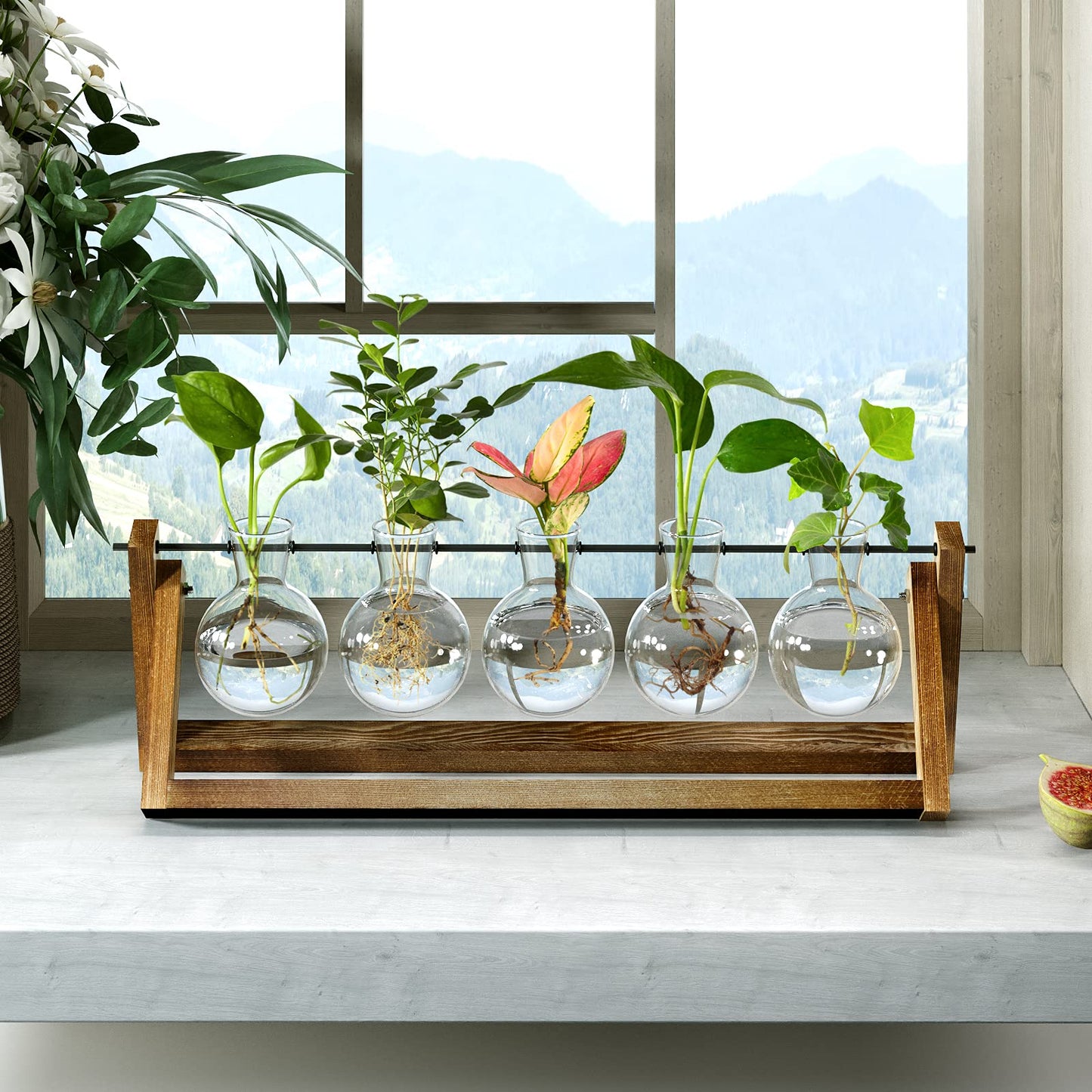 Estación de propagación – Cultiva esquejes con diseño