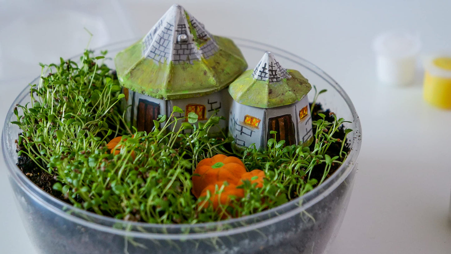 Terrario Harry Potter – Cultiva magia en tu propio invernadero