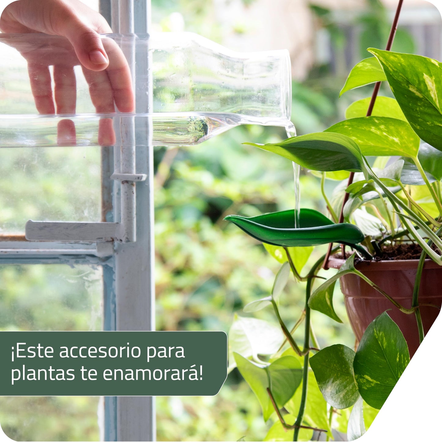 Embudo Leaflow – La hoja mágica que riega con estilo